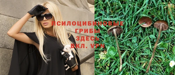 меф Алексин