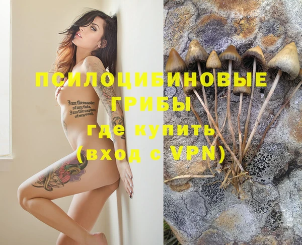 трава Алзамай