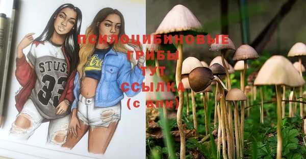 трава Алзамай