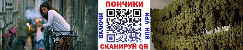 Бошки марихуана AK-47 Сортавала